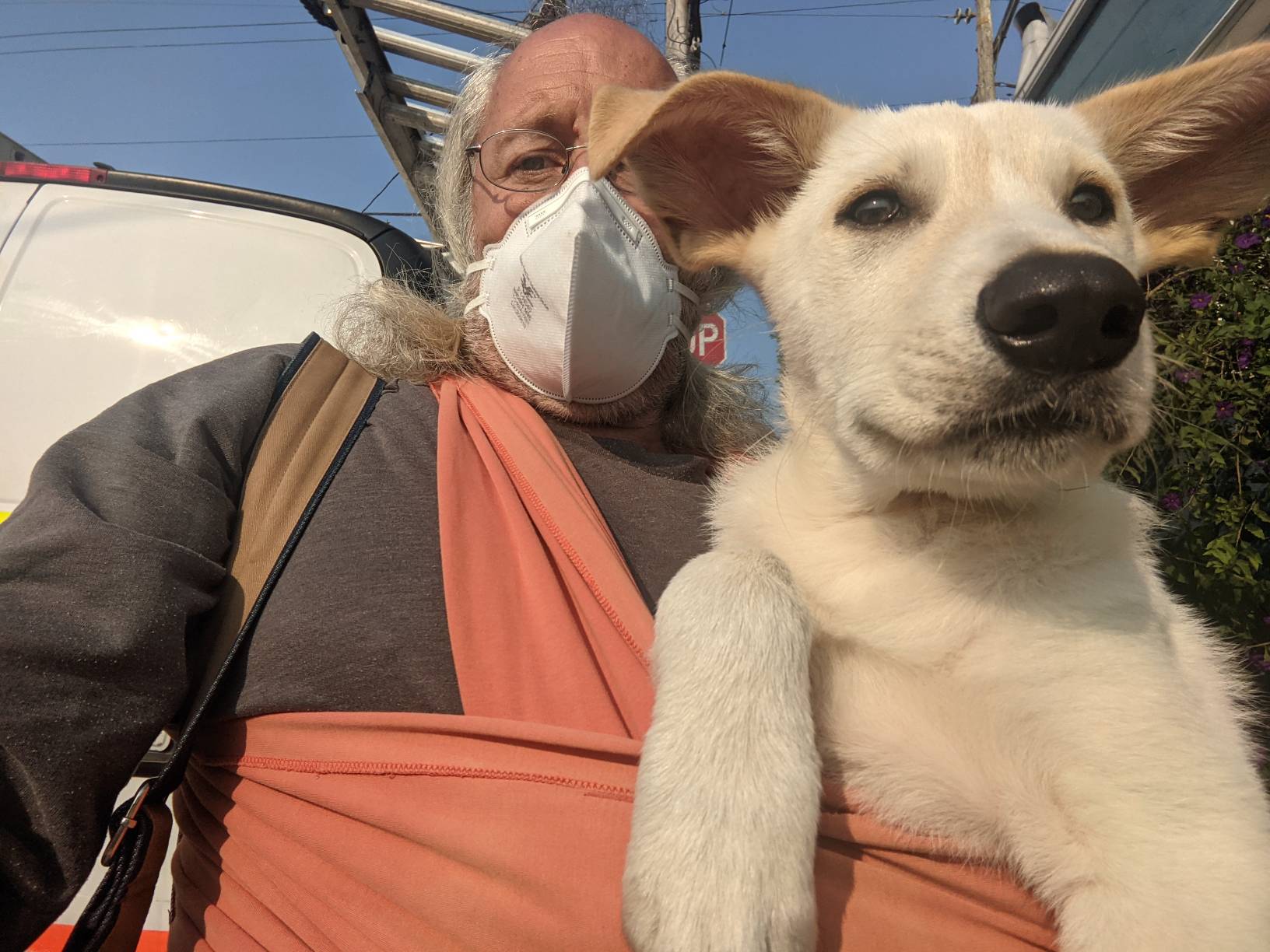puppy in wrap on author